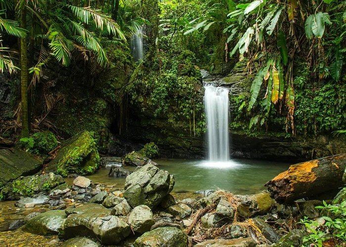 El Yunque rainforest waterfall