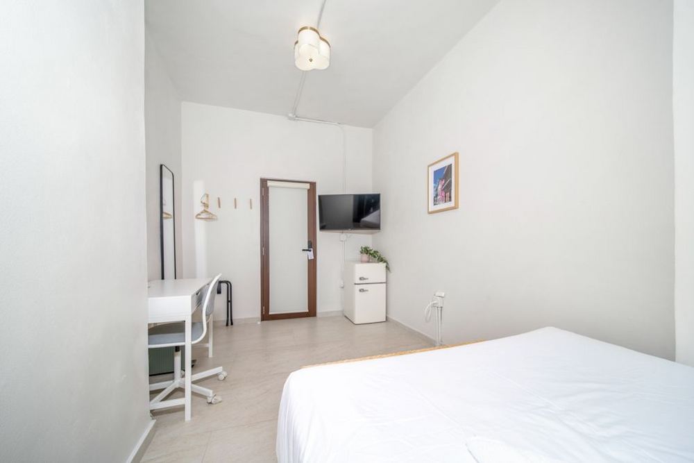 The Luz Suite