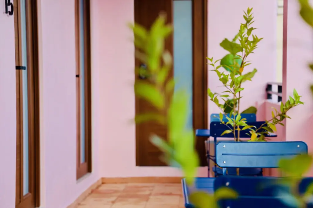 147236 378589 vbrxI9DqafP9V2IXgCvG5ZdrrXi9P3wrGWwRU6TOK I 67f86f21261eb.jpg