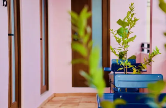 147236 378589 vbrxI9DqafP9V2IXgCvG5ZdrrXi9P3wrGWwRU6TOK I 67f86f21261eb.jpg