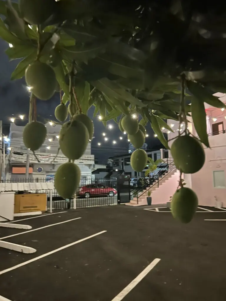 147236 378590 5px2XVDDrs MUx Ow2m3Cz8Hl58S6K2YPHFV1t3pE M 67f985fa96b26.jpg