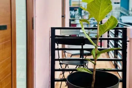 147236 378590 qFExvrp1BK6Fz 5VHDFLsh2eXQrmR 3XhAkhudtAi50 67f01ac3a3dfc.jpg