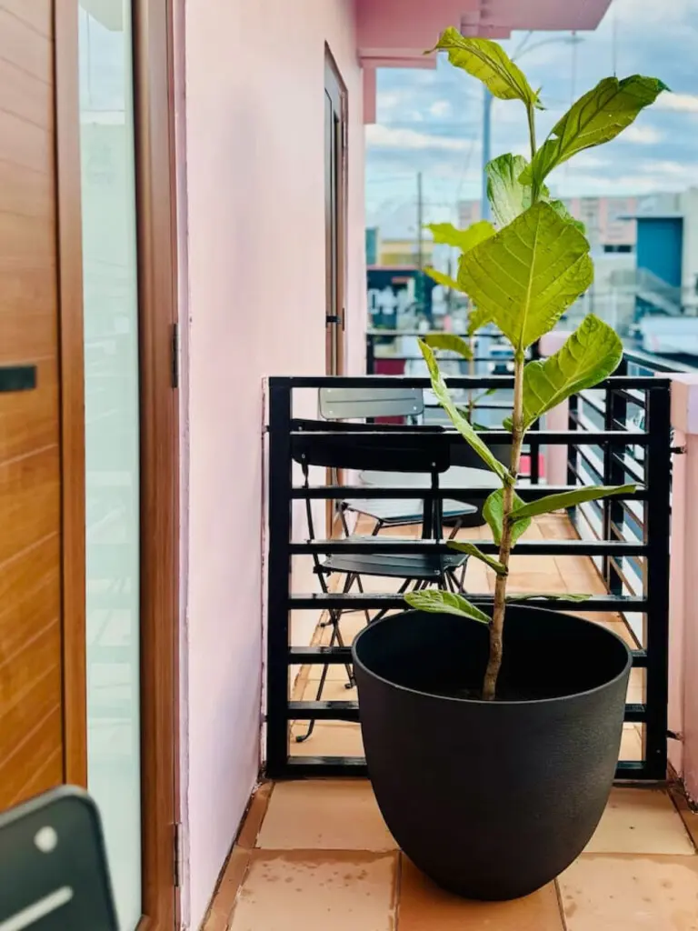 147236 378590 qFExvrp1BK6Fz 5VHDFLsh2eXQrmR 3XhAkhudtAi50 67f01ac3a3dfc.jpg