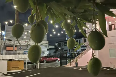 147236 378595 GphsCKbuB LwHF8kBlJcPzgnc7rTHrlBWdqEfY2r2uE 67f97a0d1ea74.jpg