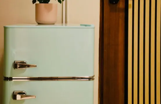 147236 378595 vcKlXUjeHDmLD05Wz44MaGd3l5TN Q5WcGwlQhqfzoU 67f003062cd12.jpg