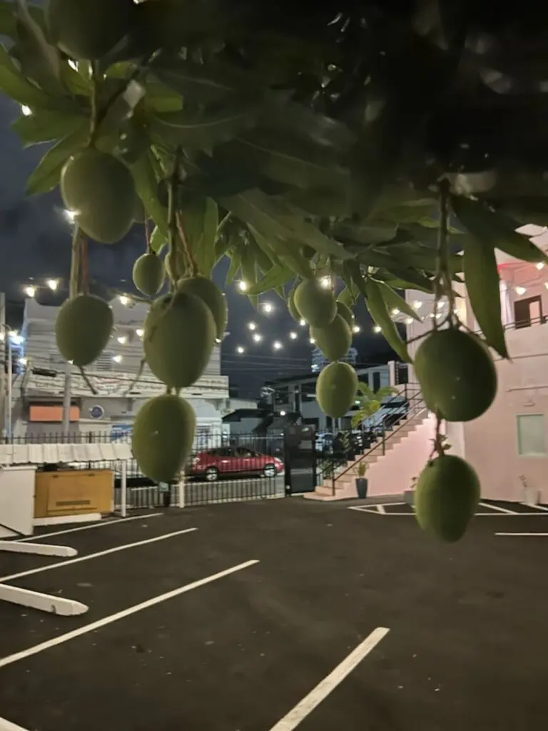 147236 447044 RPgGcFVXJe49F64XgOU jLknPdPEcA26WPy652B5Vjc 69714cf01d29c.jpg